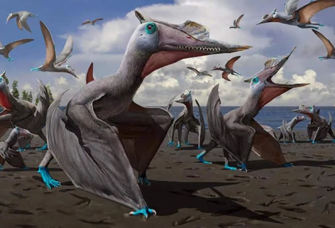China Miliki Museum Khusus Pterosaurus Pertama di Dunia di Xinjiang