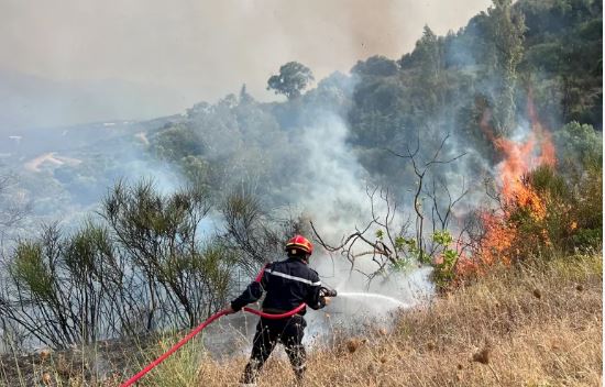Aljazair Berlakukan Hukuman Mati bagi Pelaku Pembakaran Hutan