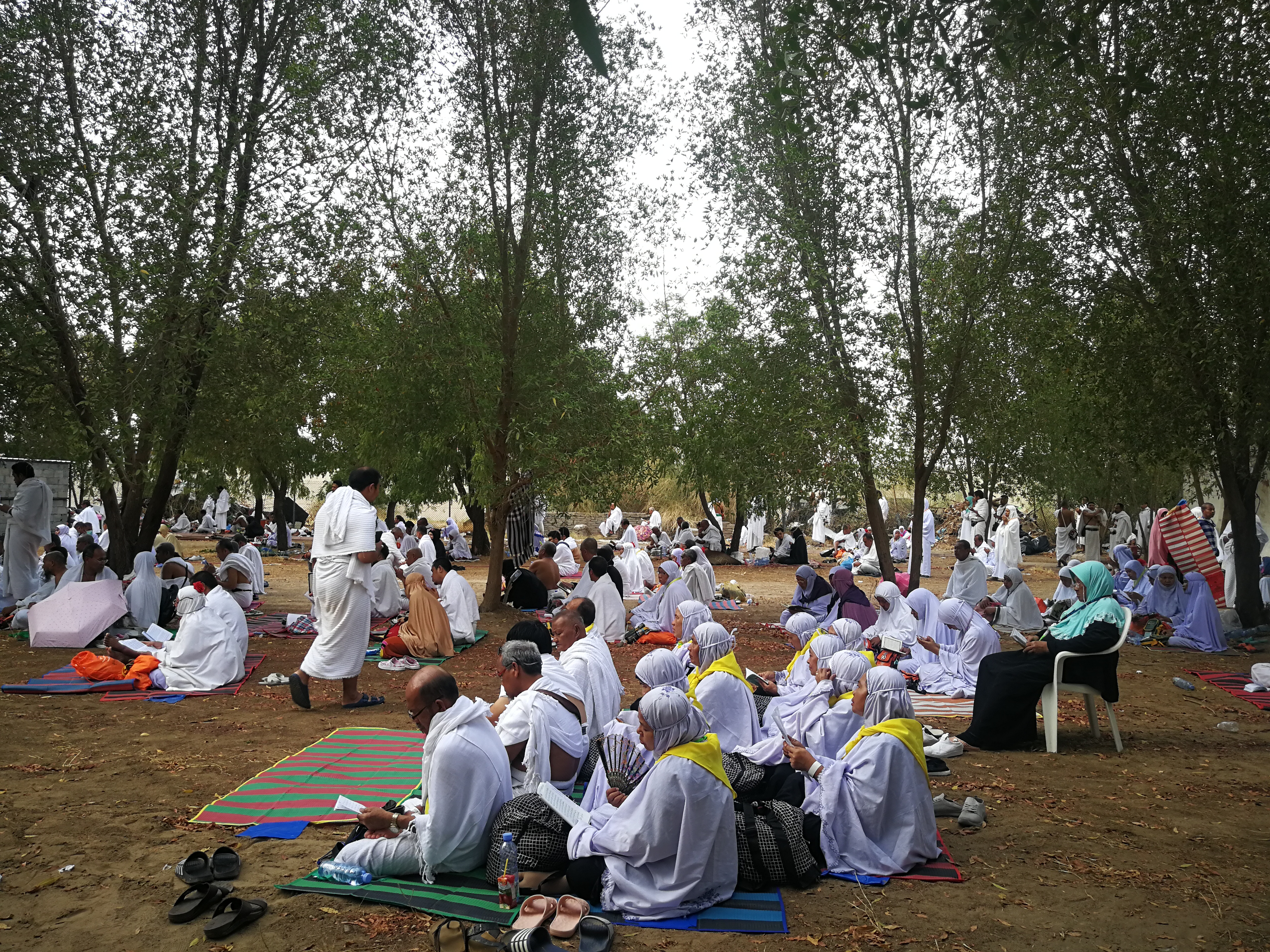 Jemaah Haji Thailand Beribadah Wukuf di Arafah