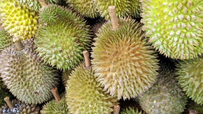 Thailand akan Panen 1 Juta Metrik Ton Durian Tahun ini