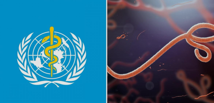 Gawat, WHO Tetapkan Wabah Ebola di Kongo-Uganda Darurat Global