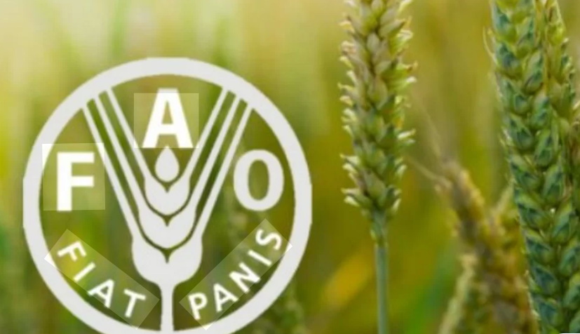 FAO Peringatkan Konflik di Selat Hormuz akan Picu Risiko Krisis Pangan Global