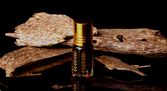 Militer Thailand Dilibatkan Jaga Pohon Langka Gaharu dari Pencurian