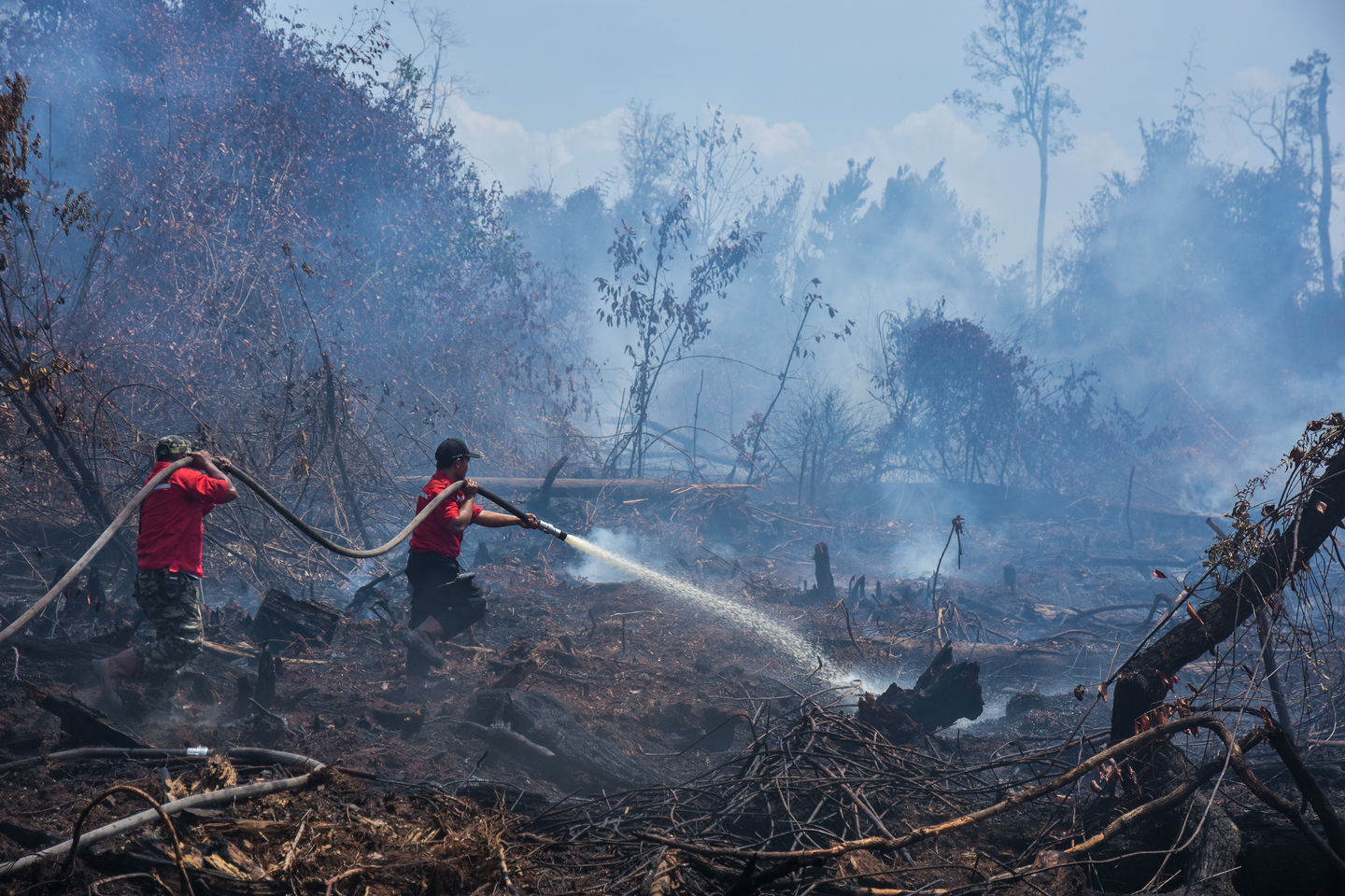 Kabut Asap Karhutla di Indonesia Memasuki Thailand