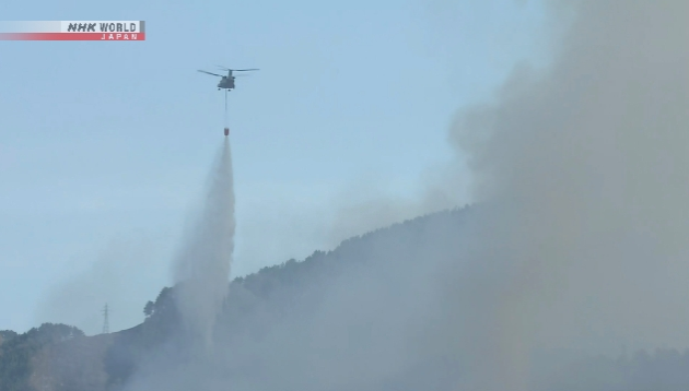 Kebakaran Hanguskan 1.373 Ha di Iwate Jepang, 3 Ribu Warga Dievakuasi